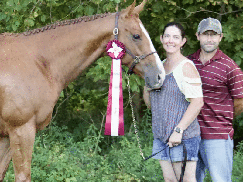 Crimson Point Stable